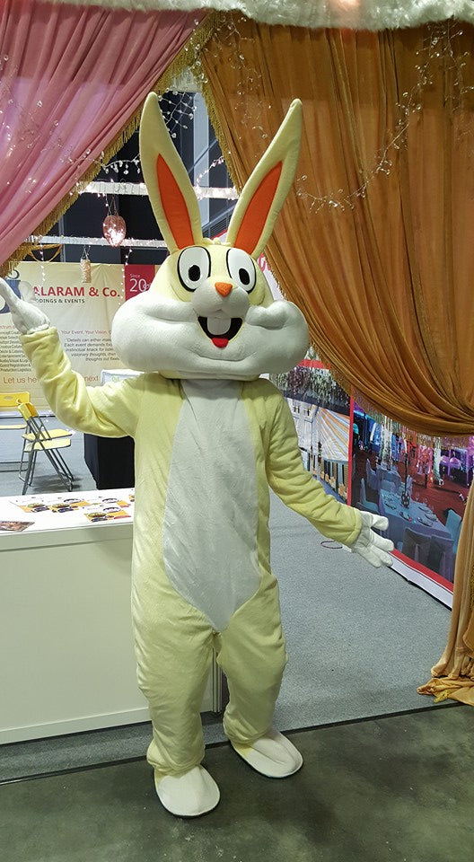 Rabbit Mascot