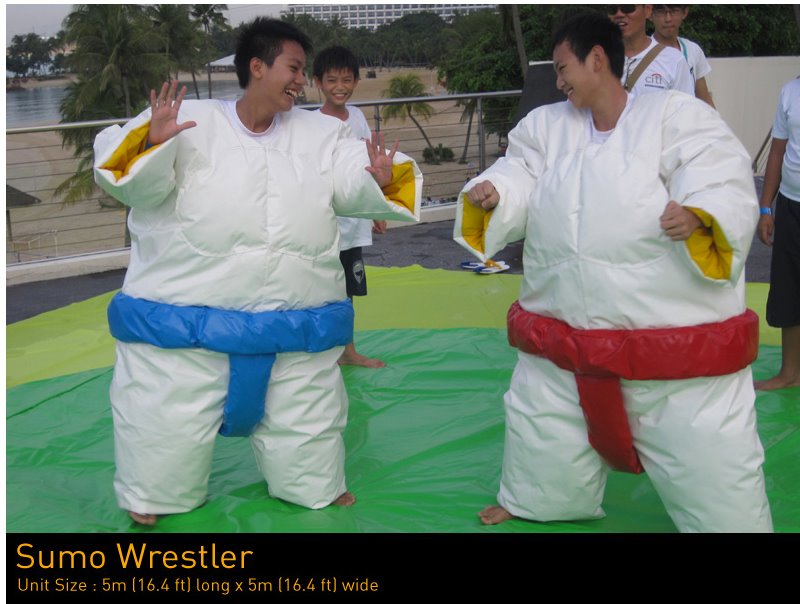 SUMO WRESTLER